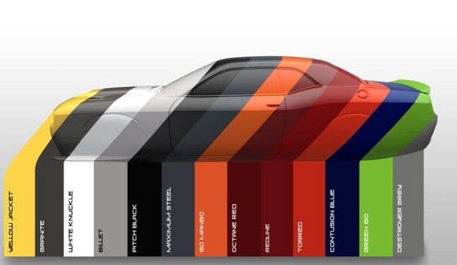 Professional car paint application service